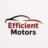 Efficient Motors