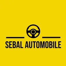 Raducanu Stefan Sebastian