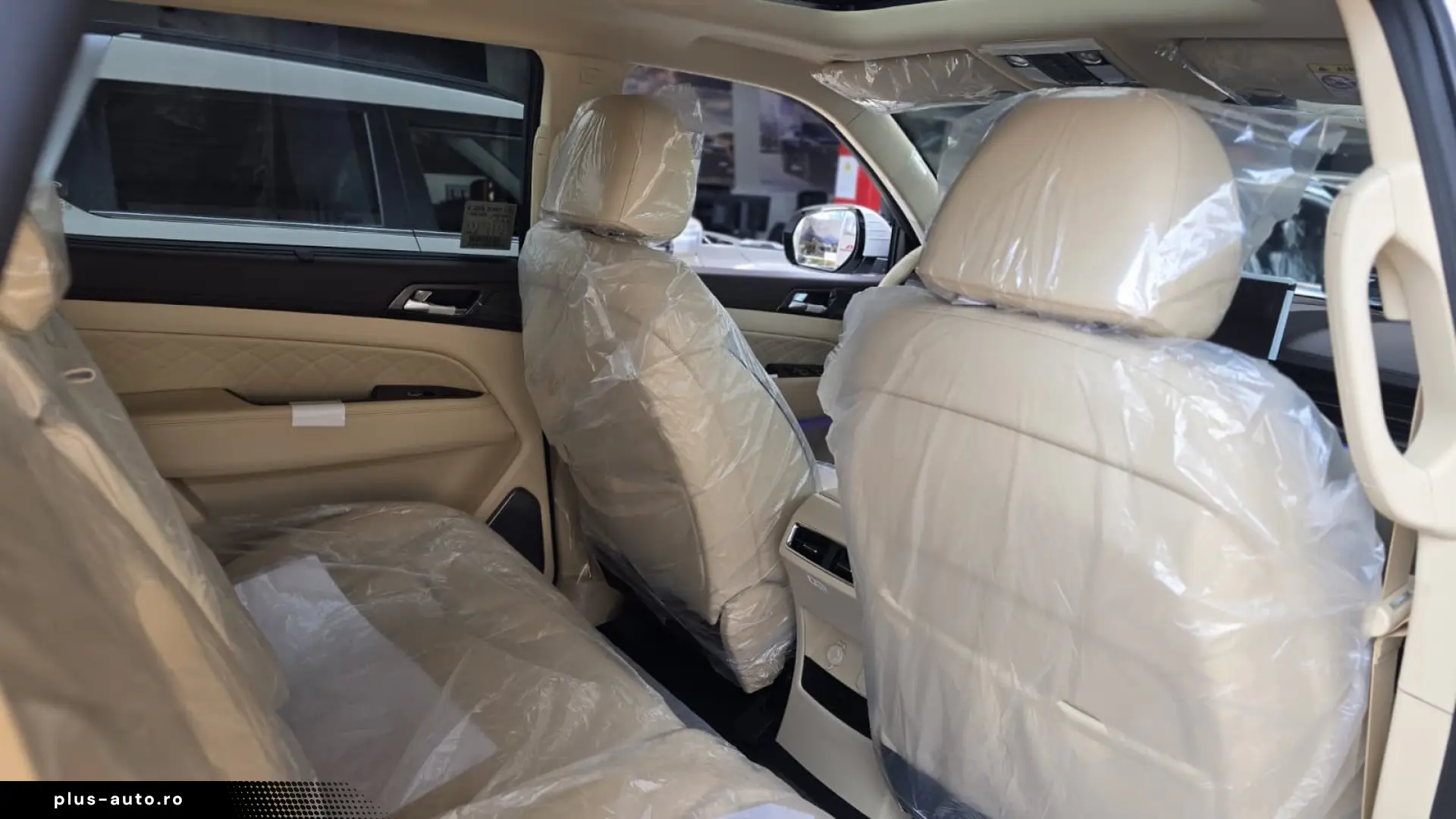 Rexton Premium - 7 Alb ID 62779