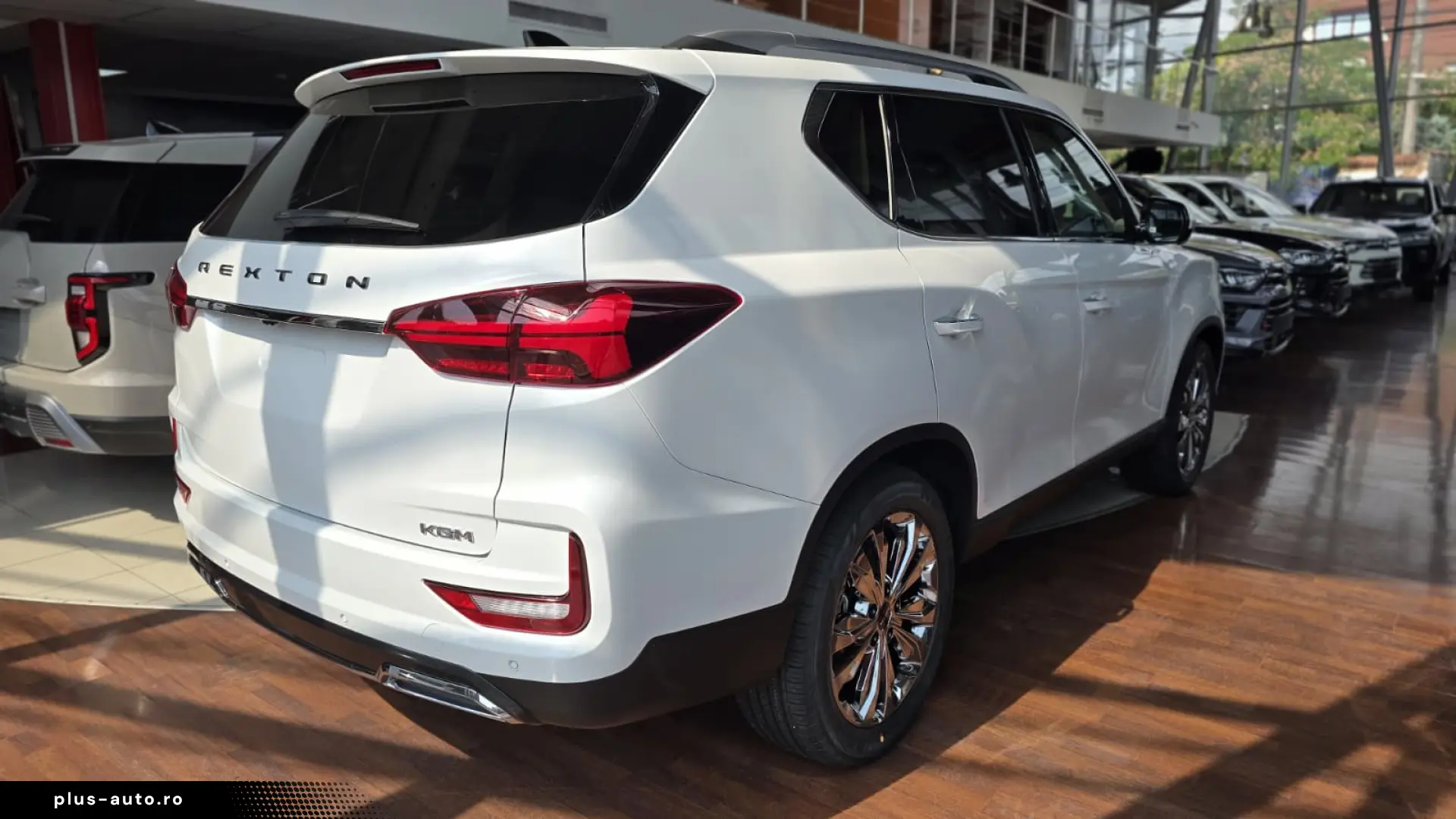 Rexton Premium - 7 Alb ID 62779