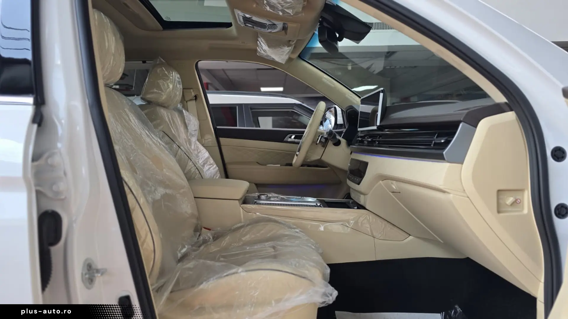 Rexton Premium - 7 Alb ID 62779