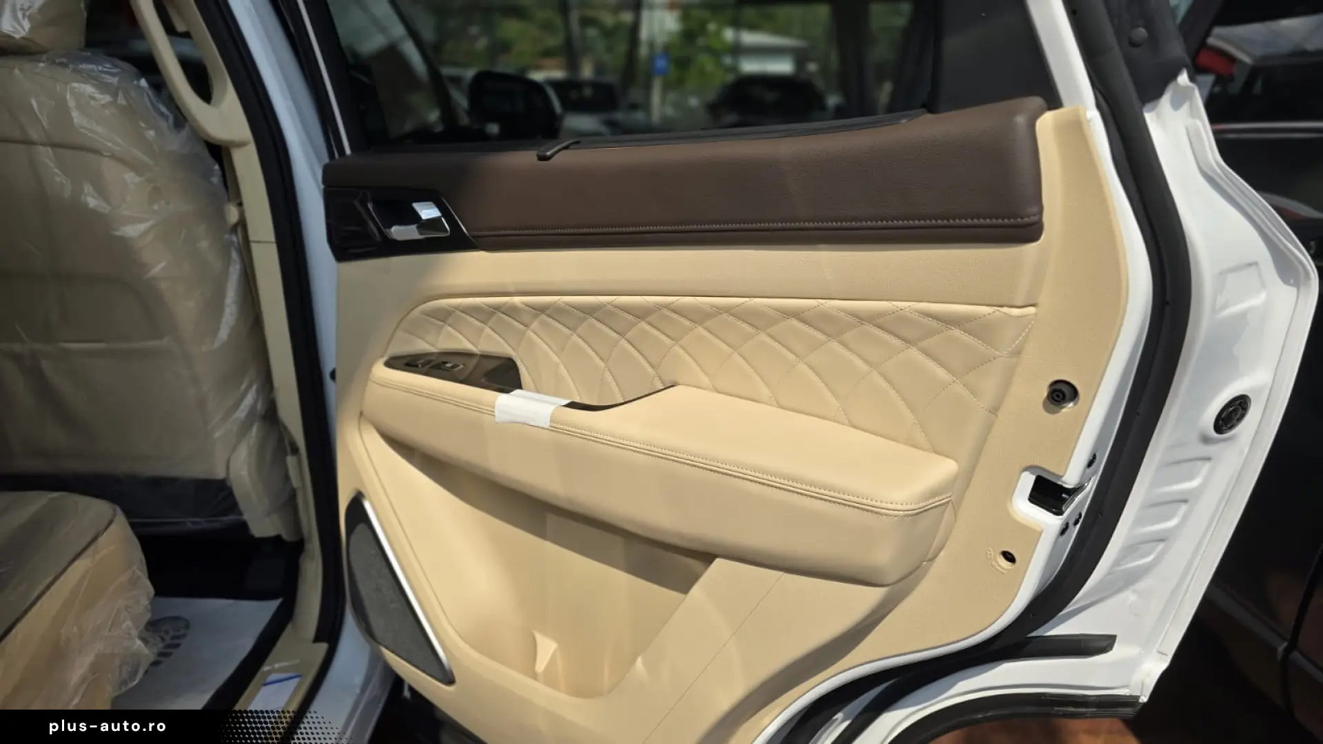 Rexton Premium - 7 Alb ID 62779