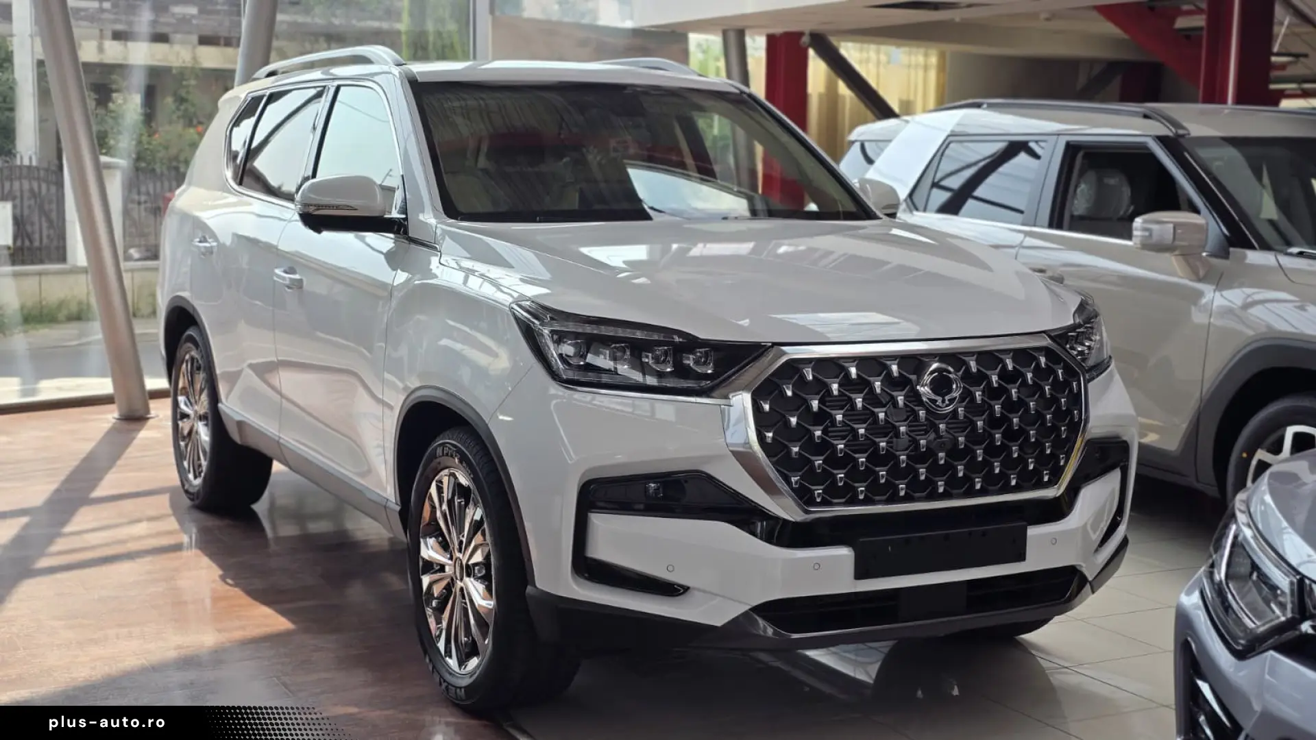 Rexton Premium - 7 Alb ID 62779