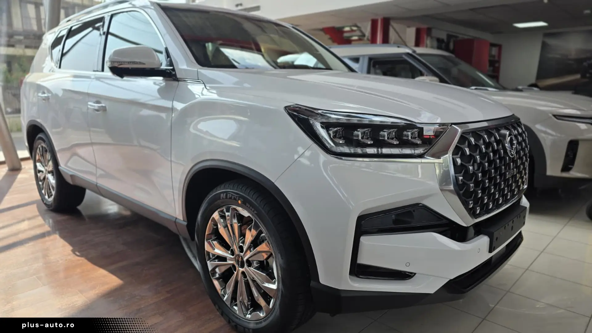 Rexton Premium - 7 Alb ID 62779