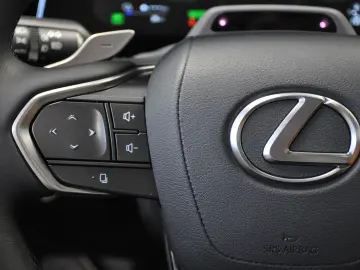 NEW LEXUS RX450H+ PLUG IN HYBRID F SPORT Panorama