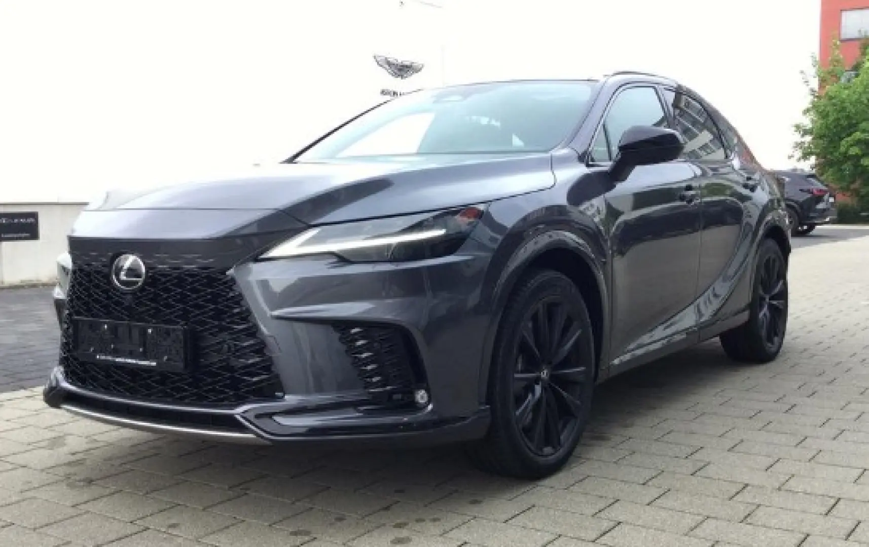 RX 500h F Sport Matrix-LED, Pano