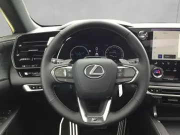 RX 500h F Sport Matrix-LED, Pano