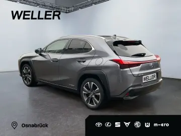 UX 250h Style Edition *Bi-LED*ACC*Kamera*SHZ*Car