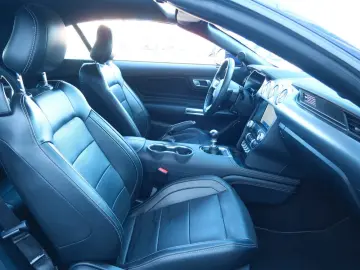 Mustang