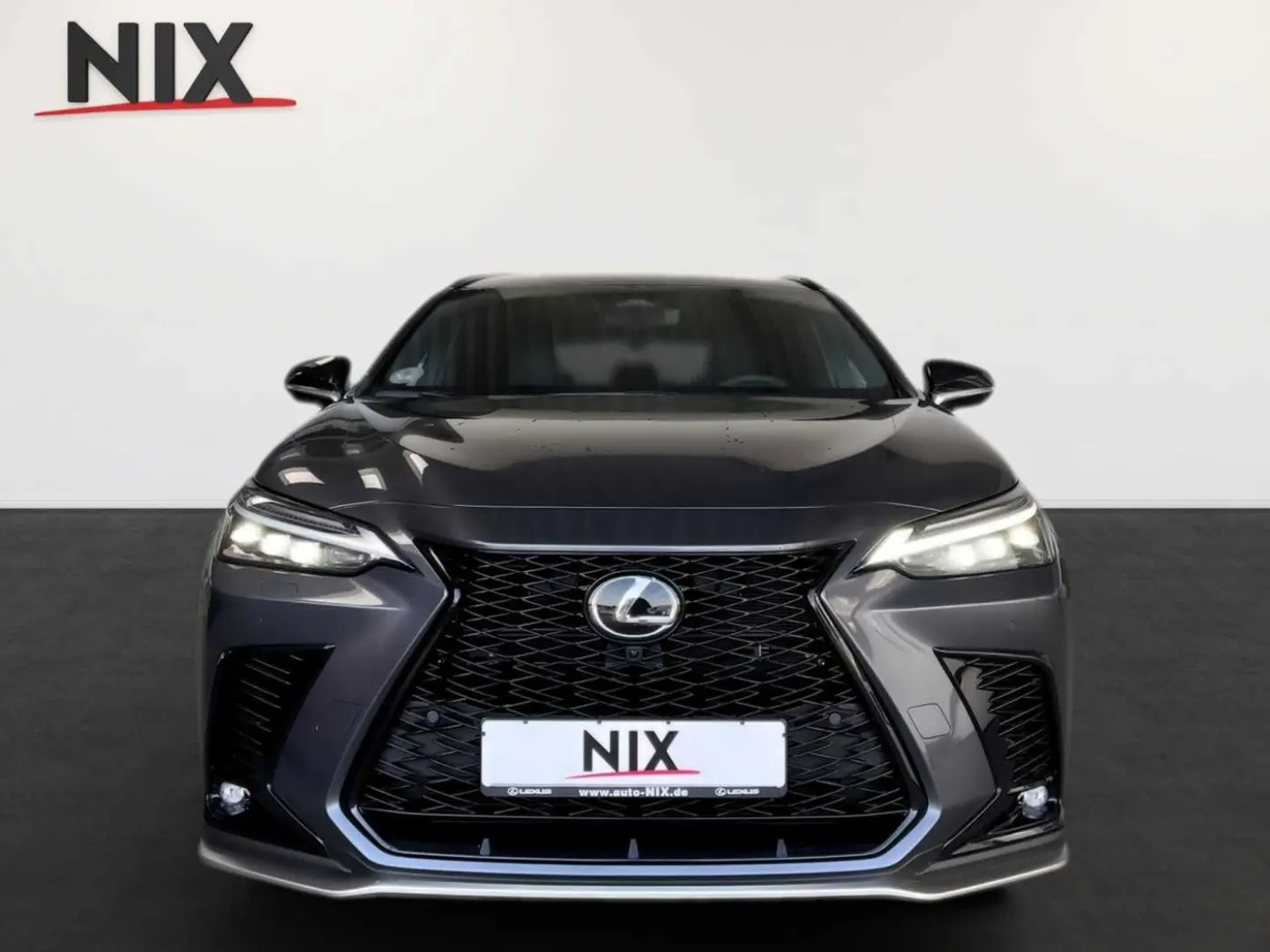 NX 450h+ E-FOUR F SPORT
