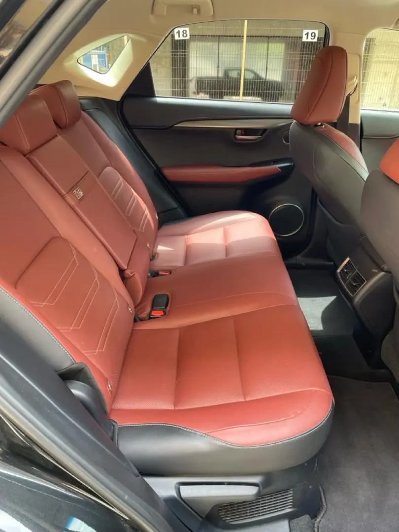 Lexus NX 300