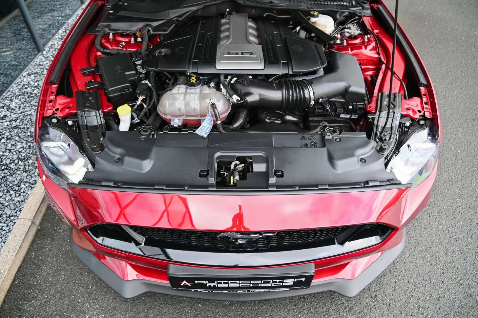 Mustang 5.0 Ti-VCT V8 GT Aut. Navi* Premium 2*