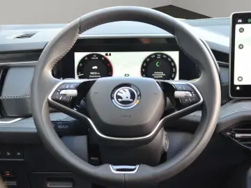 Kodiaq 2.0 TDI 4x4 STNDHZ LEDER AHK MATRIX CANTO