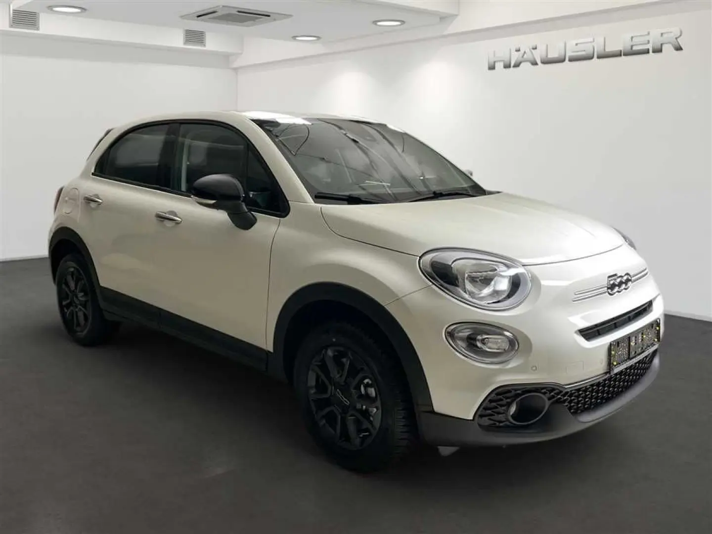 500X HYBRID 1.5 GSE Automatik Teilleder Kamera C