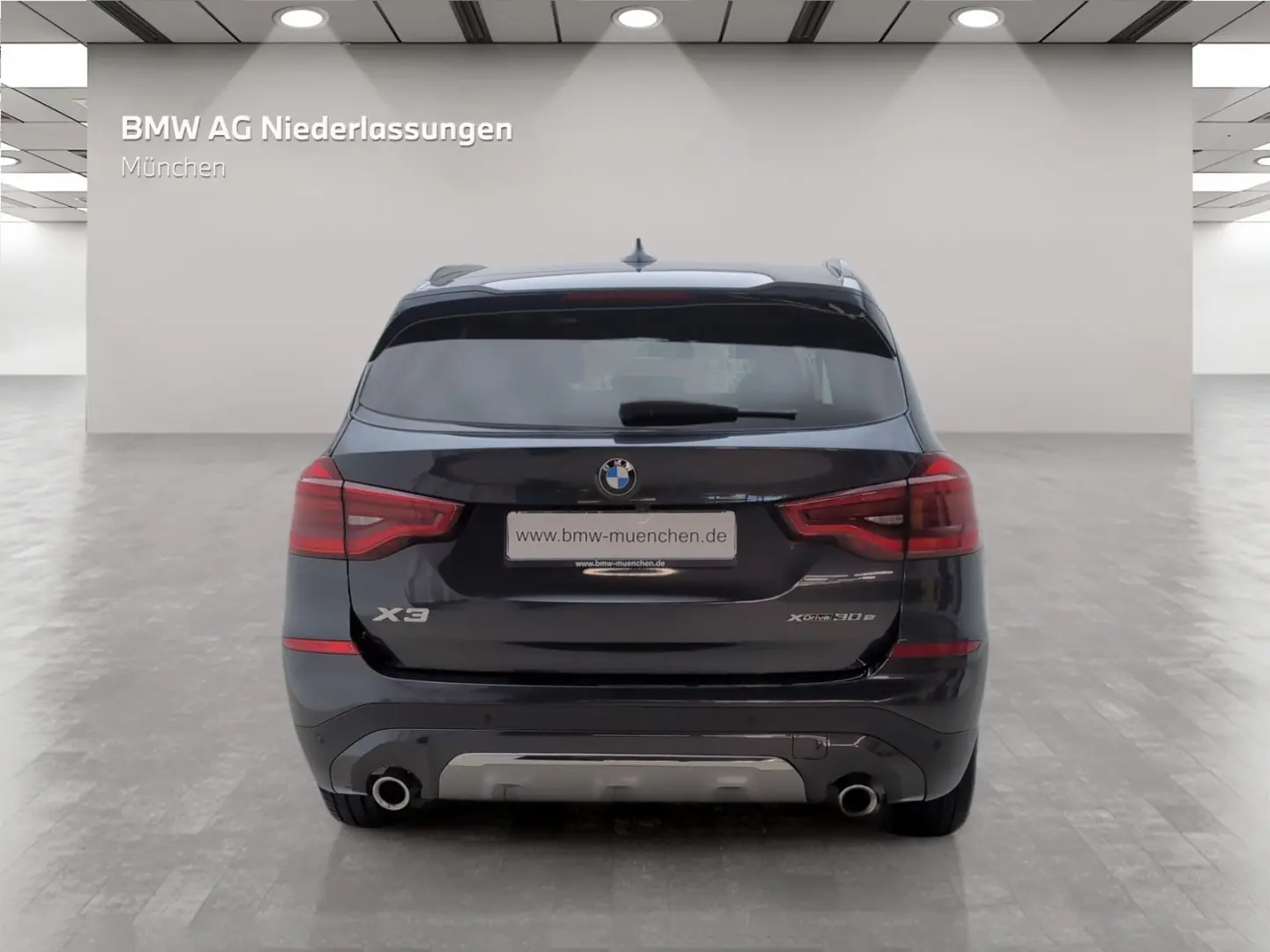 X3 xDrive30e LiveCockpitProf Kamera Pano.Dach