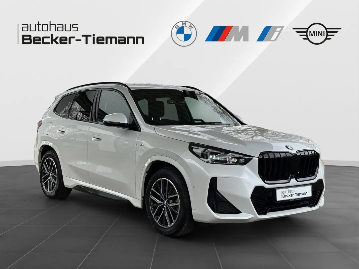X1 xDrive23i M Sport | Pano.Dach | HuD | HK HiFi