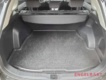 RAV 4 Hybrid 4x4 Team Deutschland 2.5 VVT-i EU6d