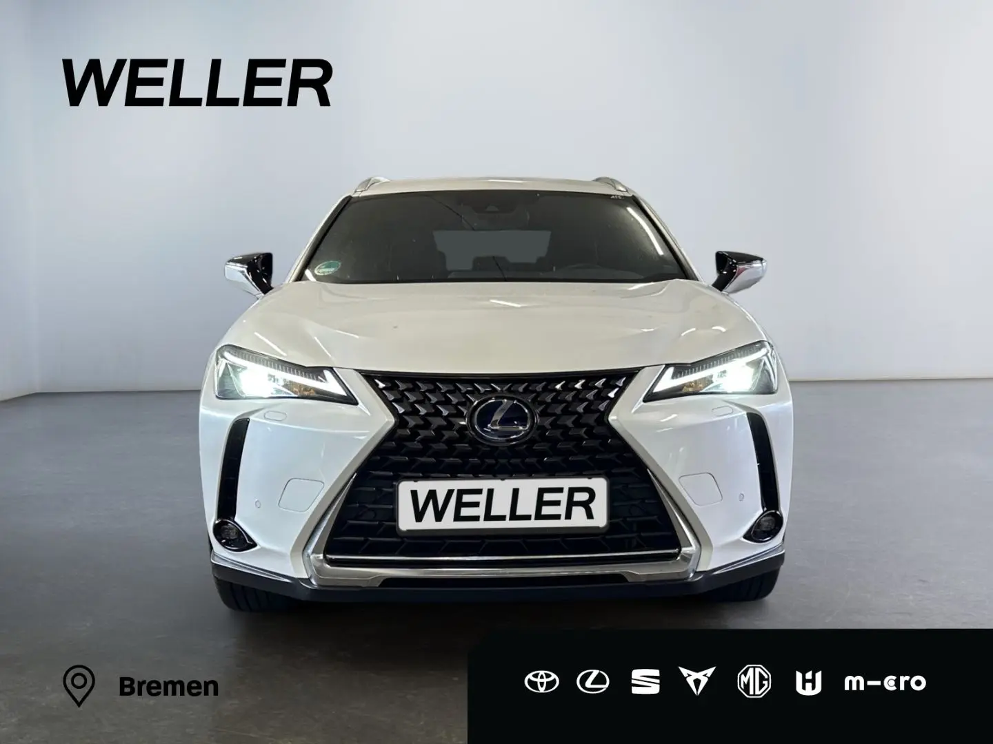 UX 250h Style Edition *LED*CarPlay*CAM*Spurhalte