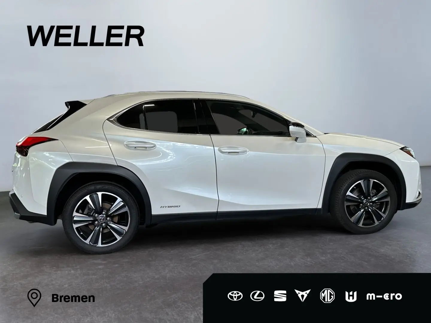 UX 250h Style Edition *LED*CarPlay*CAM*Spurhalte