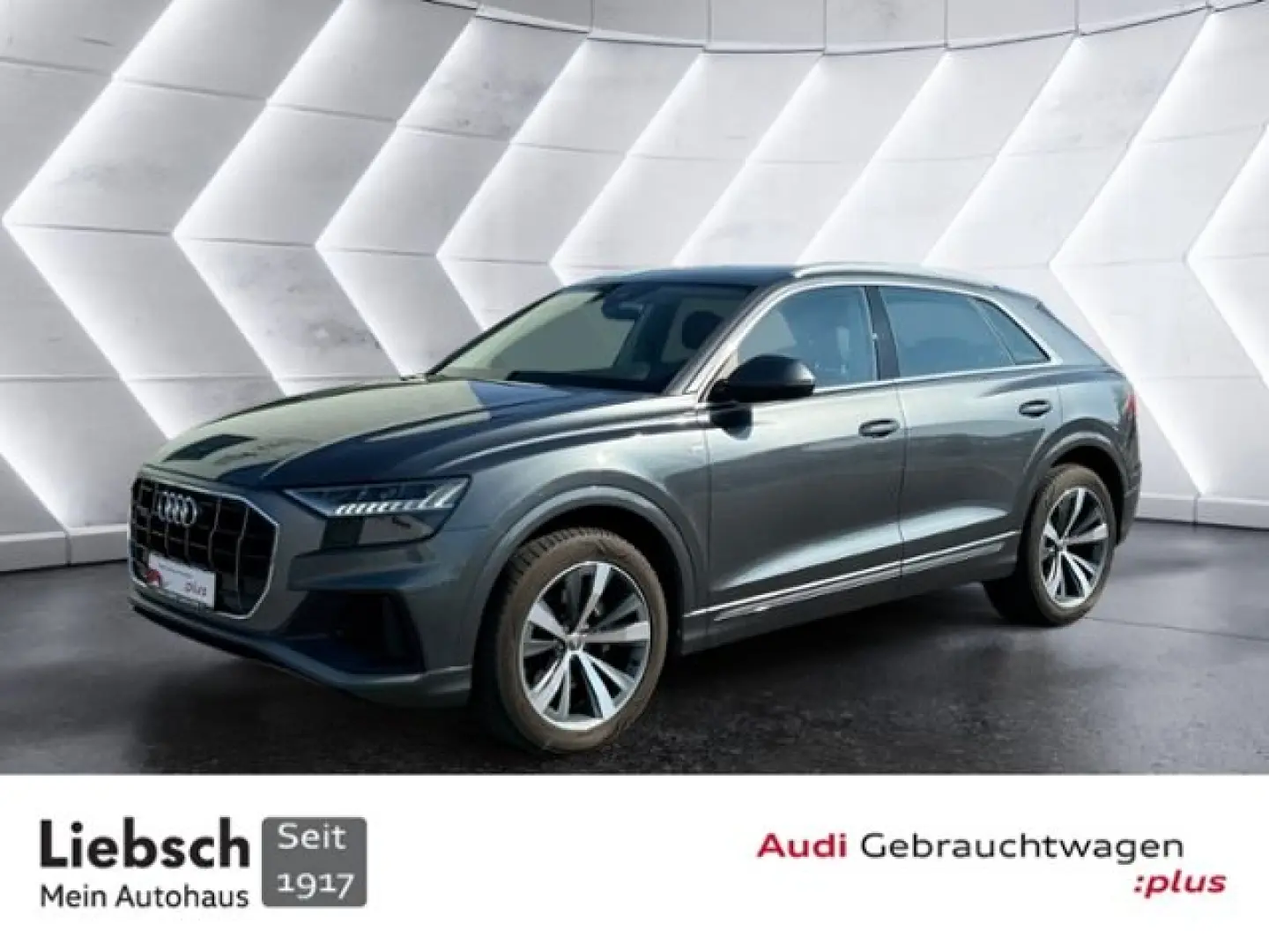 Q8 55 TFSI S LINE SELECTION HD MATRIX KAMERA