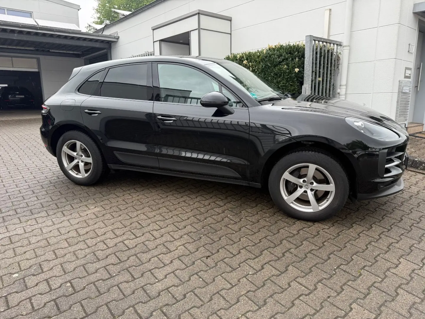 Macan PDK /