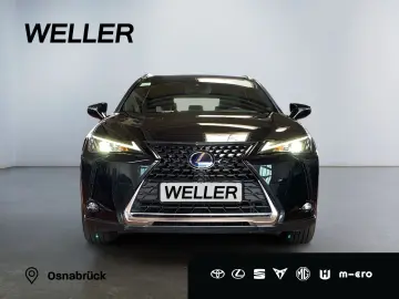 UX 250h Business Edition *ACC*Kamera*CarPlay*SHZ