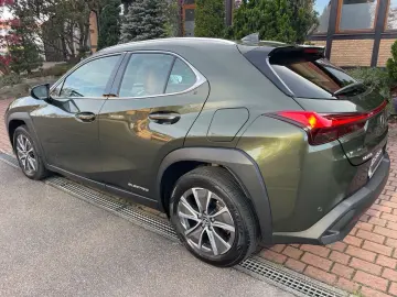 UX 300e EXECUTIVE