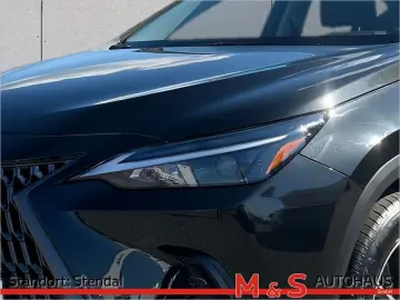 NX 350h Business Line EL. HECKKL. LED SHZ NAVI