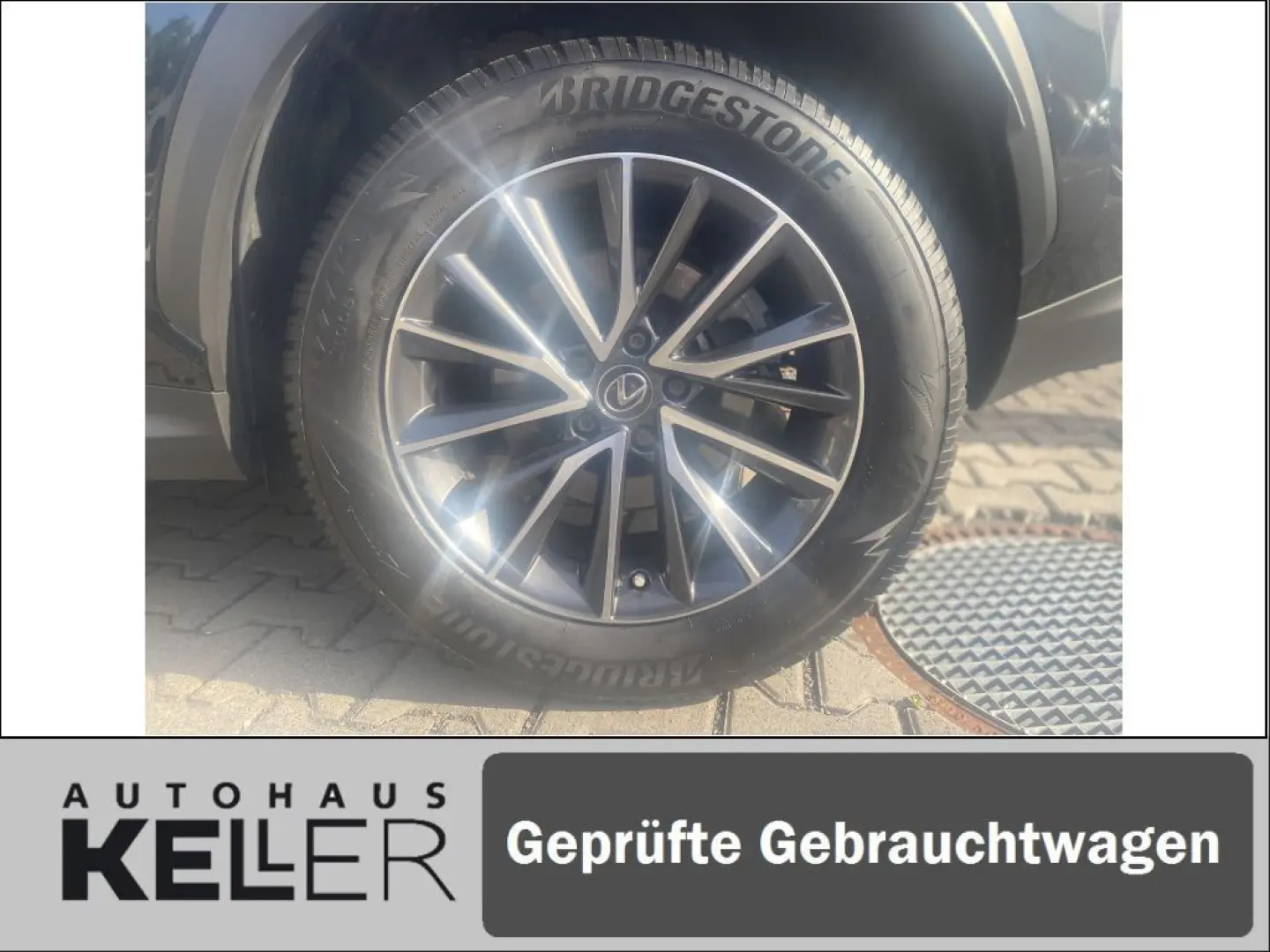 NX350h E-FOUR Executive/Technik-/Interieurpaket