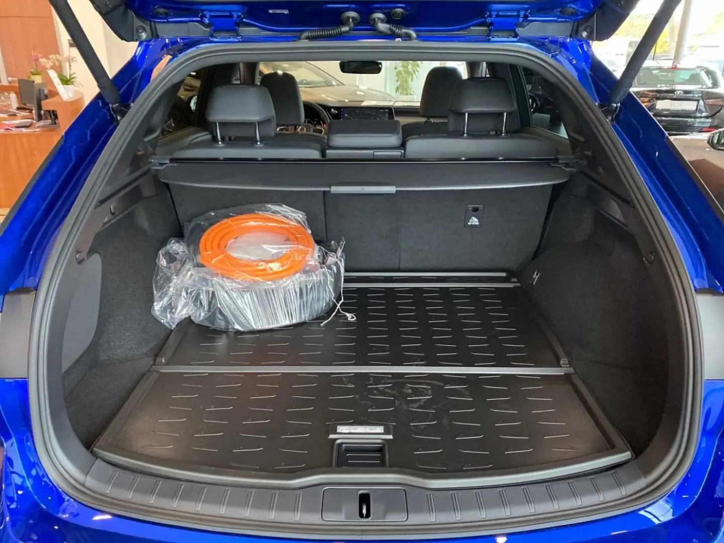 RX 450h+ E-FOUR F SPORT Design PANORAMADACH