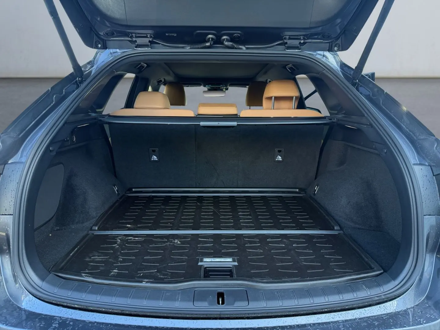 RX 350 h Executive Line *Sofort*Pano*Technologie