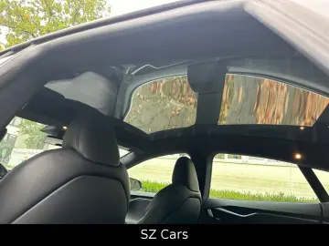 Model S Performance Ludicrous*
