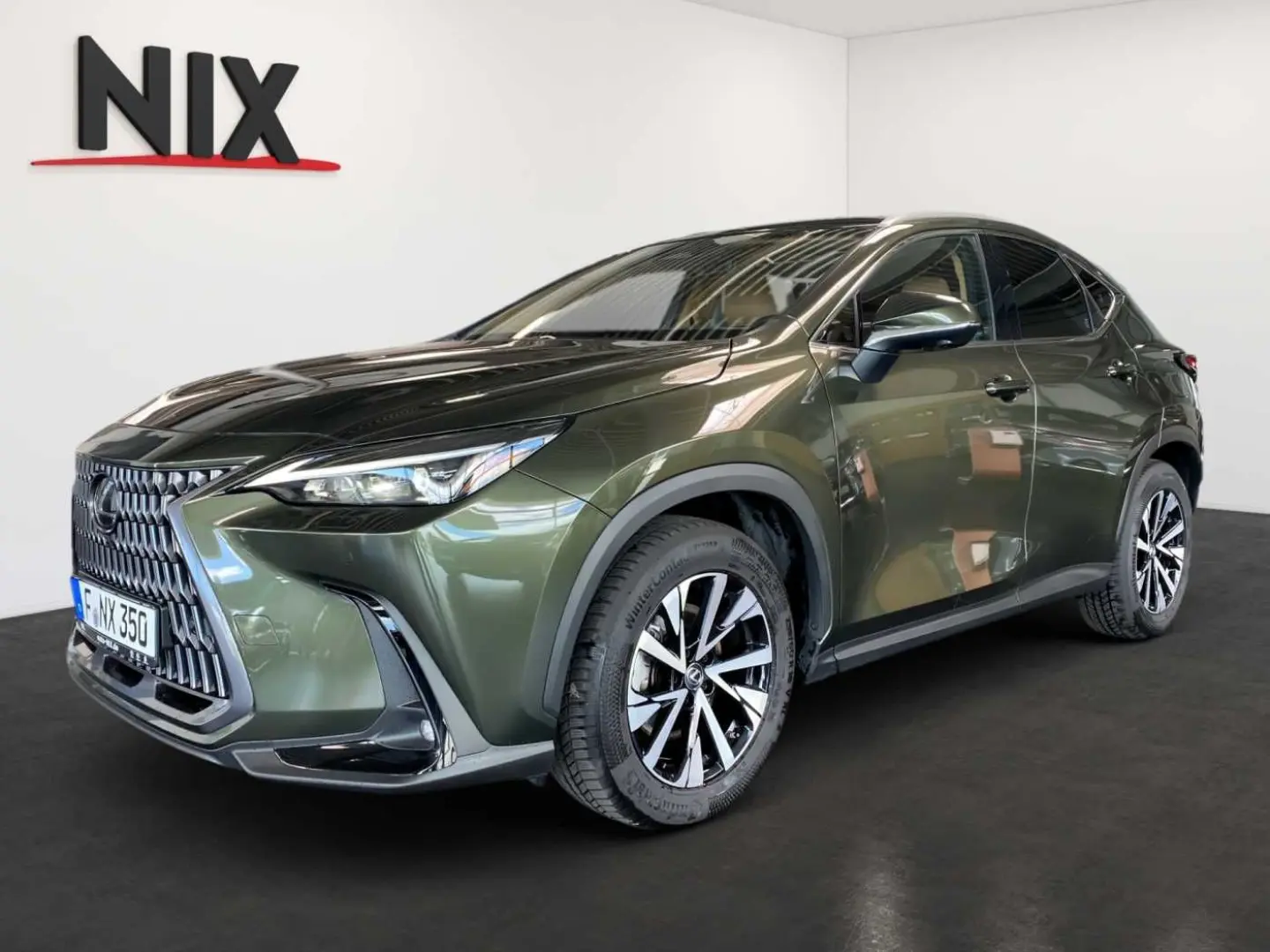 NX 350h Executive Line + Technik + Pano