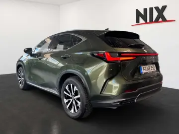 NX 350h Executive Line + Technik + Pano
