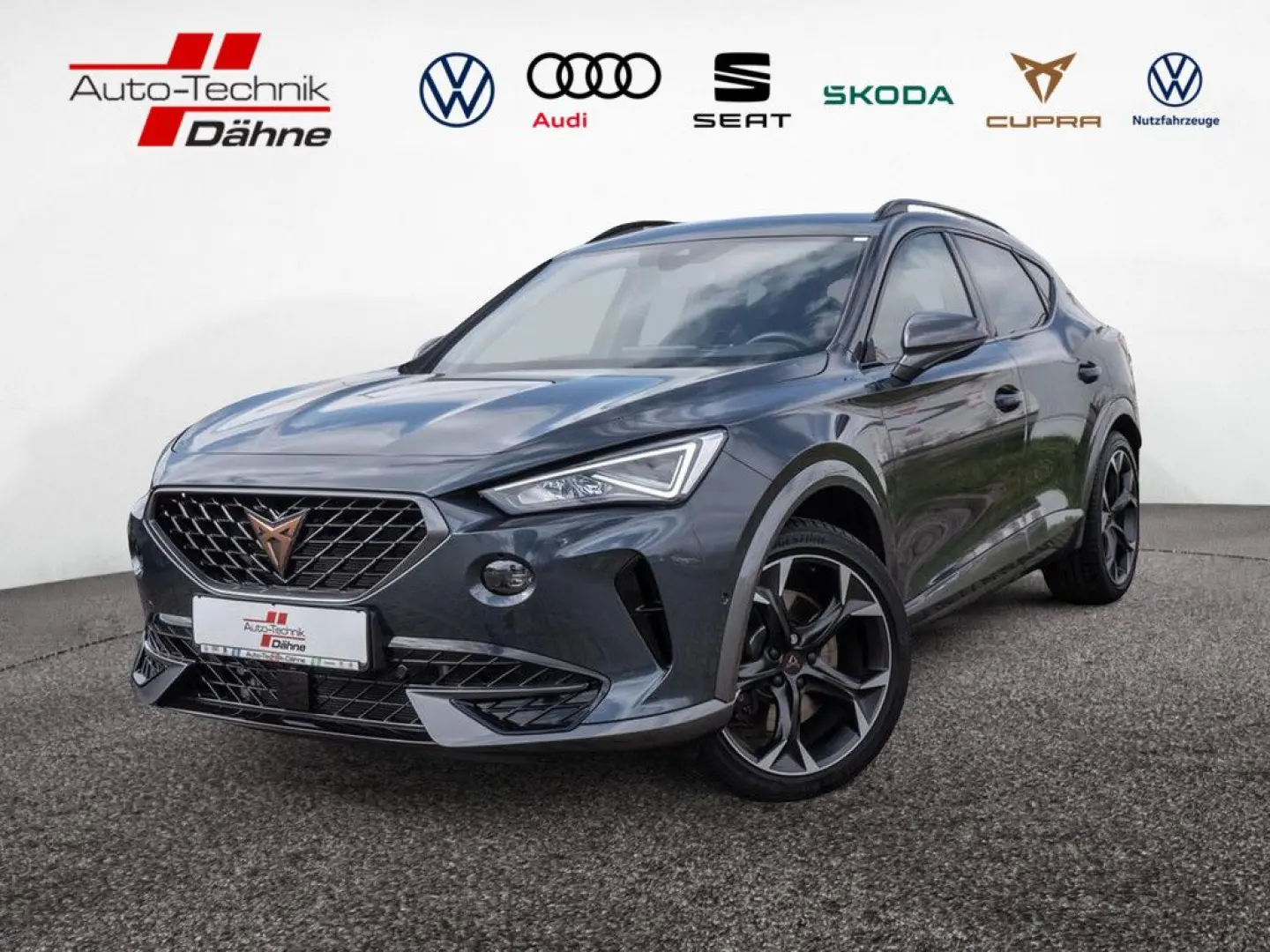 Formentor VZ 2.0 TSI PDC SHZ KAMERA NAVI ACC LED