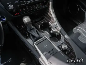 RX 450h Luxury Line CARPLAY HUD MATRIX-LED 360°