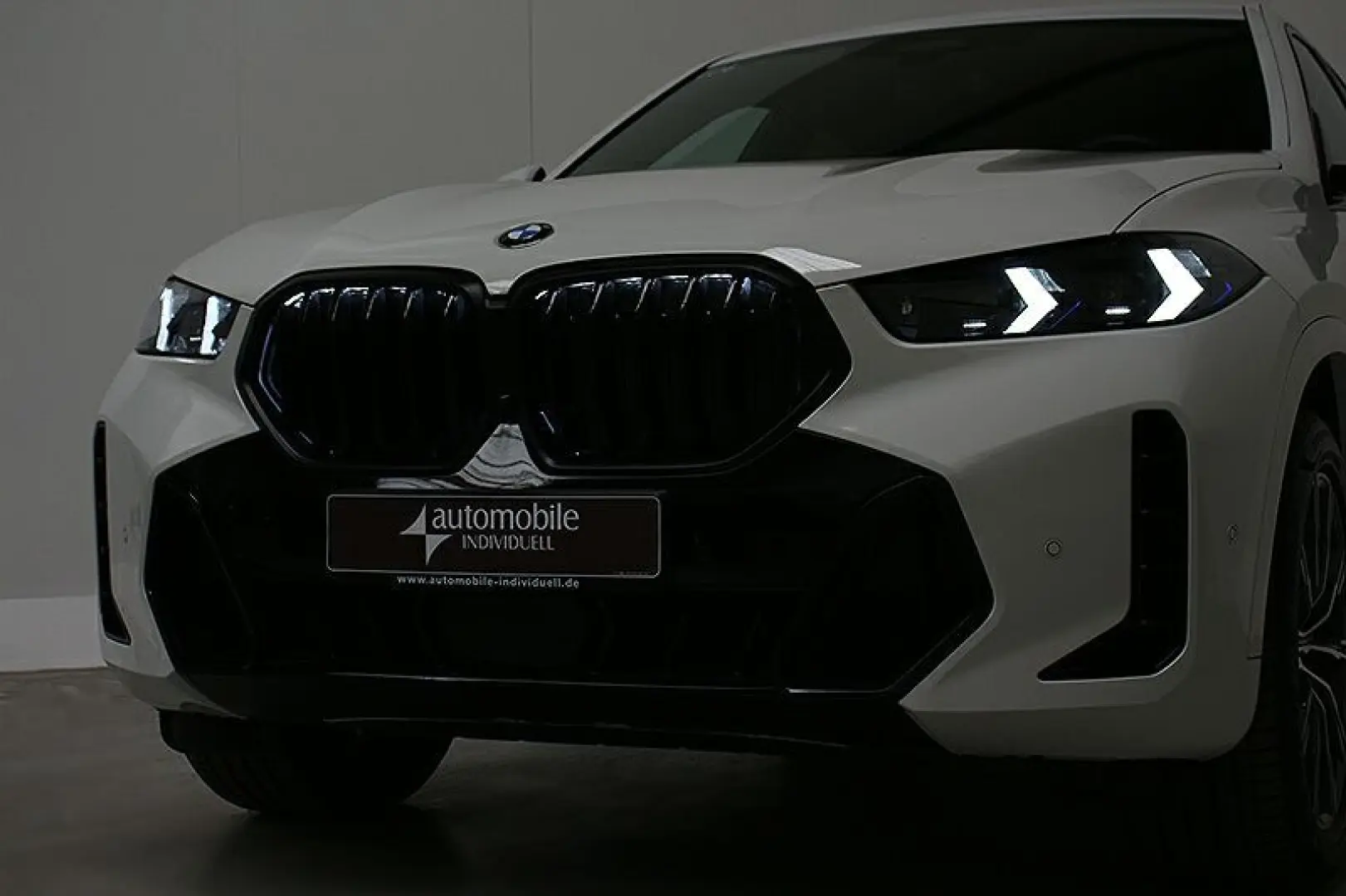 X6 xDr.30dA M Sport Pro Widescreen AHK H&K HuD