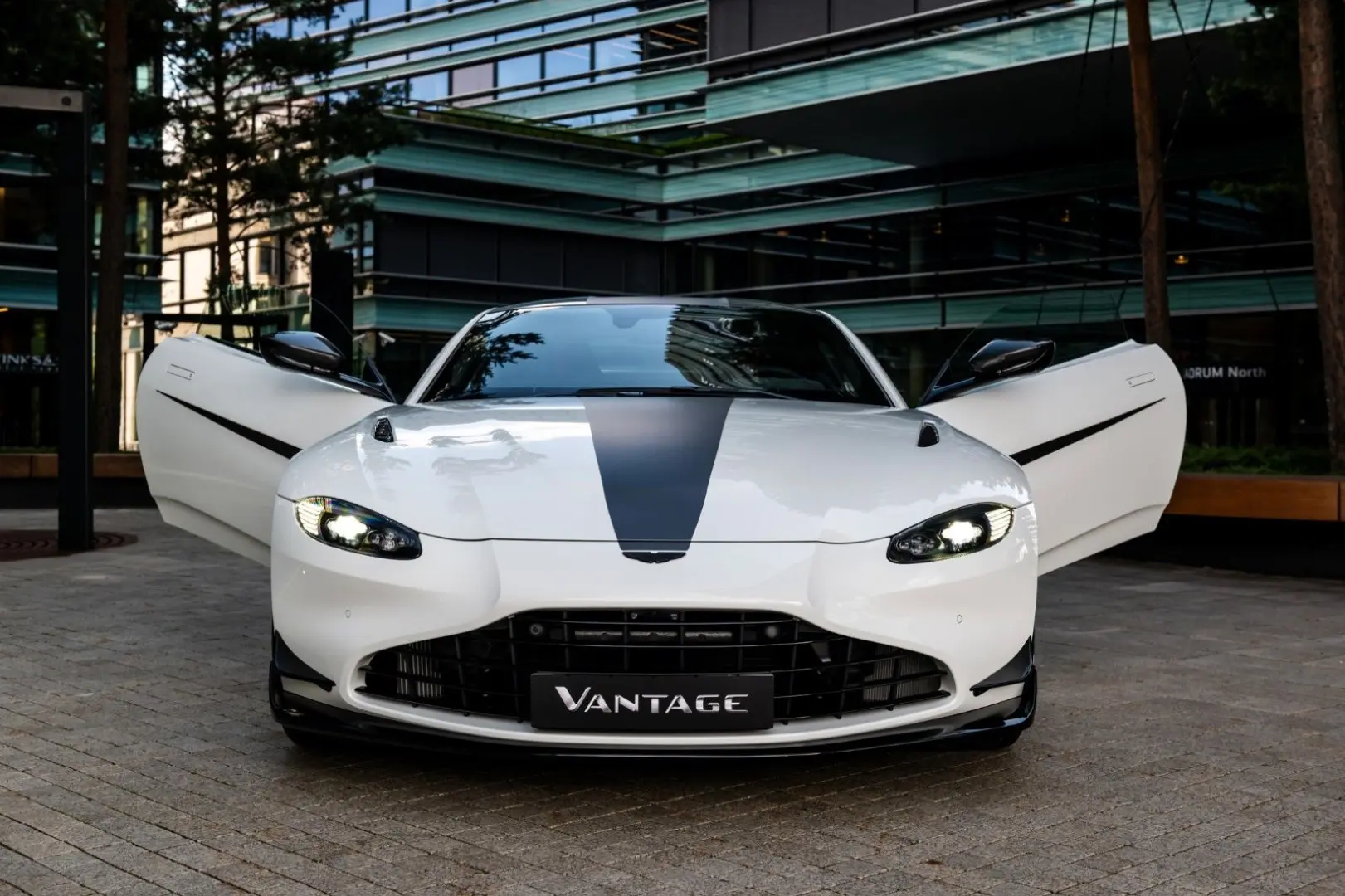 V8 Vantage 4.0 F1 Edition