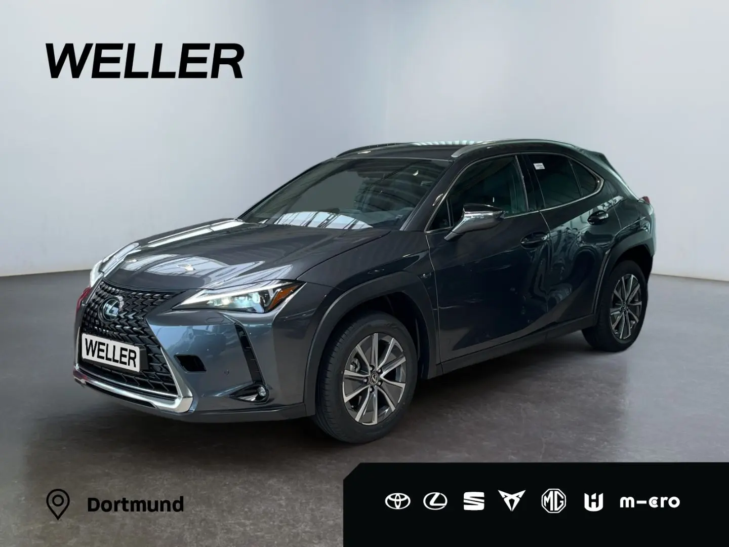 UX 300e *sofort*CarPlay*Tempomat*Klimaaut*LMF*