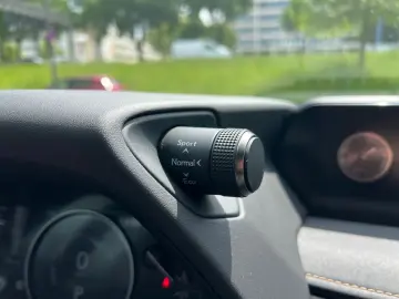 UX 250h Style+ Edition *LED*CarPlay*CAM*SHZ*TWA*