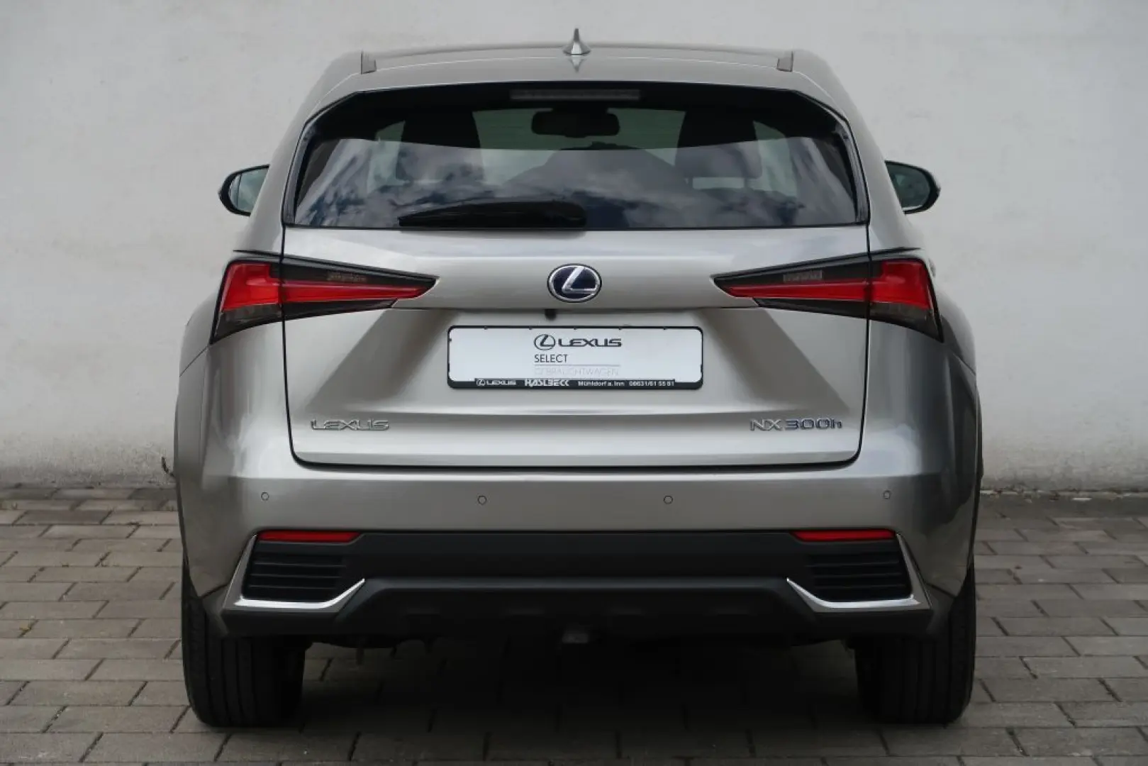 NX 300h E-FOUR Executive Line