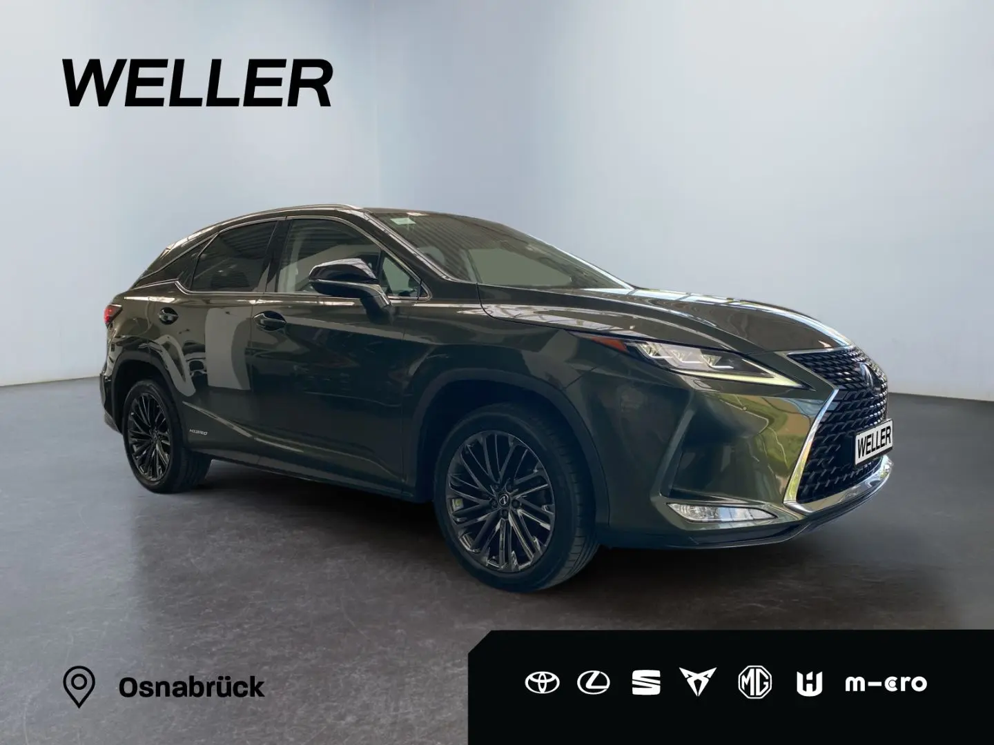 RX 450h (hybrid) *Sport Edition*LED*Allrad*Leder