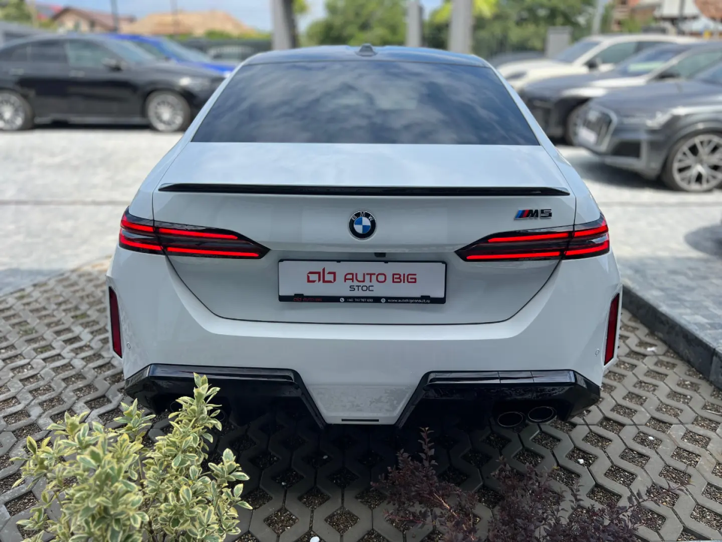 BMW M5