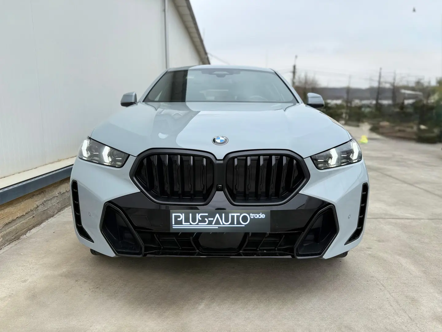 BMW X6 3.0d xDrive mild Hybrid