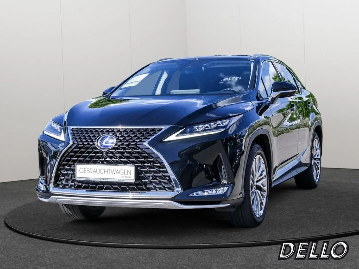 RX 450h Luxury Line HUD PANO 360-GRAD-KAMERA WKR