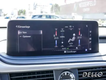 RX 450h Luxury Line HUD PANO 360-GRAD-KAMERA WKR