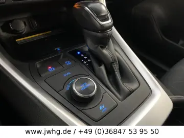RAV4 Hybrid 4x4 Team Deutschland LED ACC KAM NAV