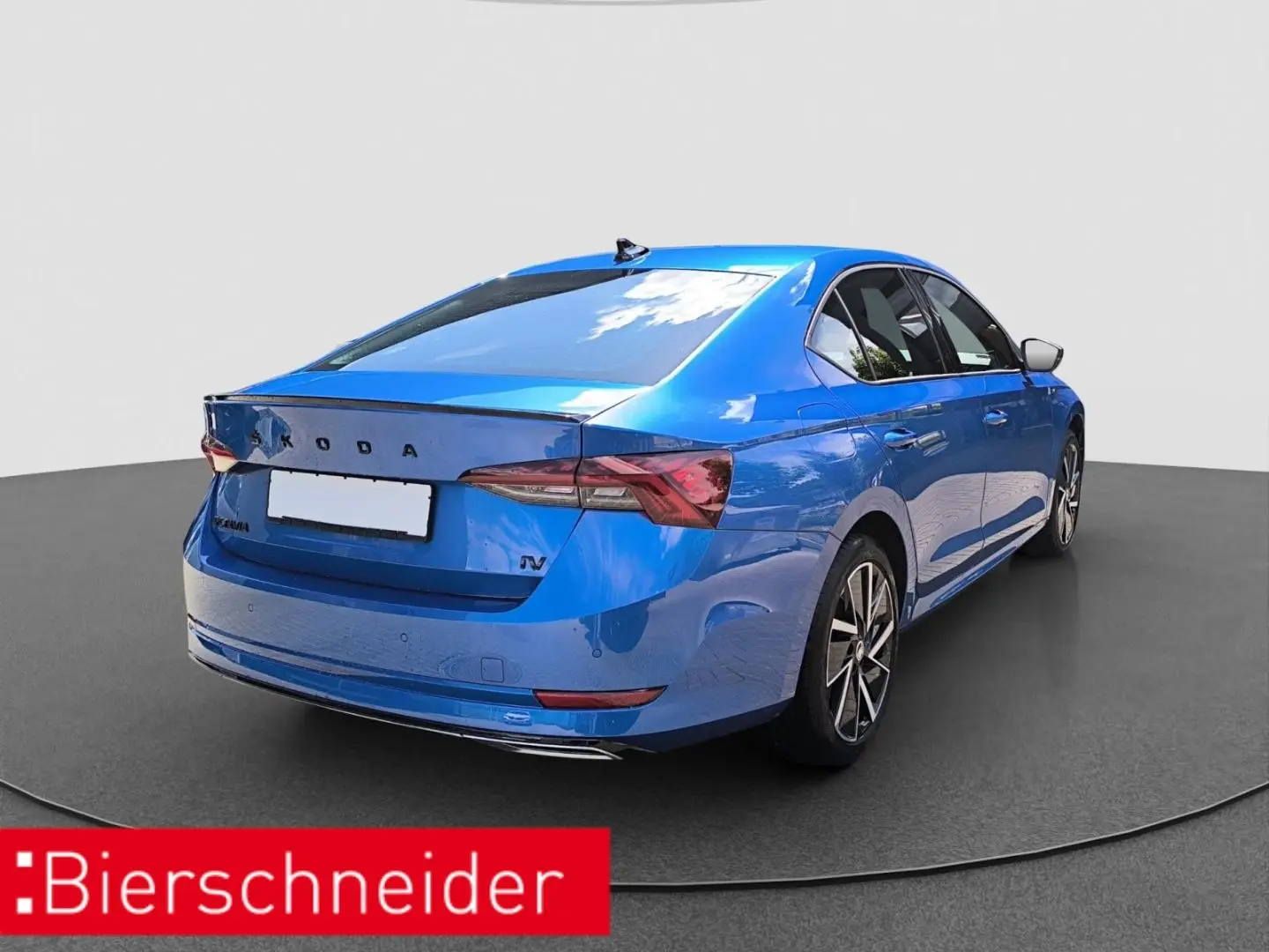 Octavia 1.4 TSI DSG e-Hybrid NAVI HEAD UP CANTON