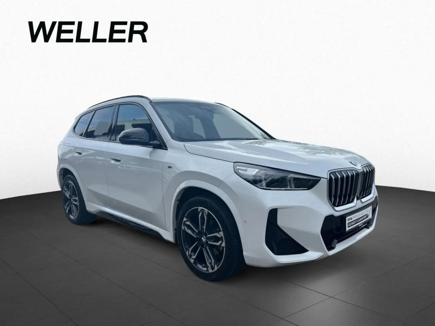 X1 sDrive18d M Sport 19