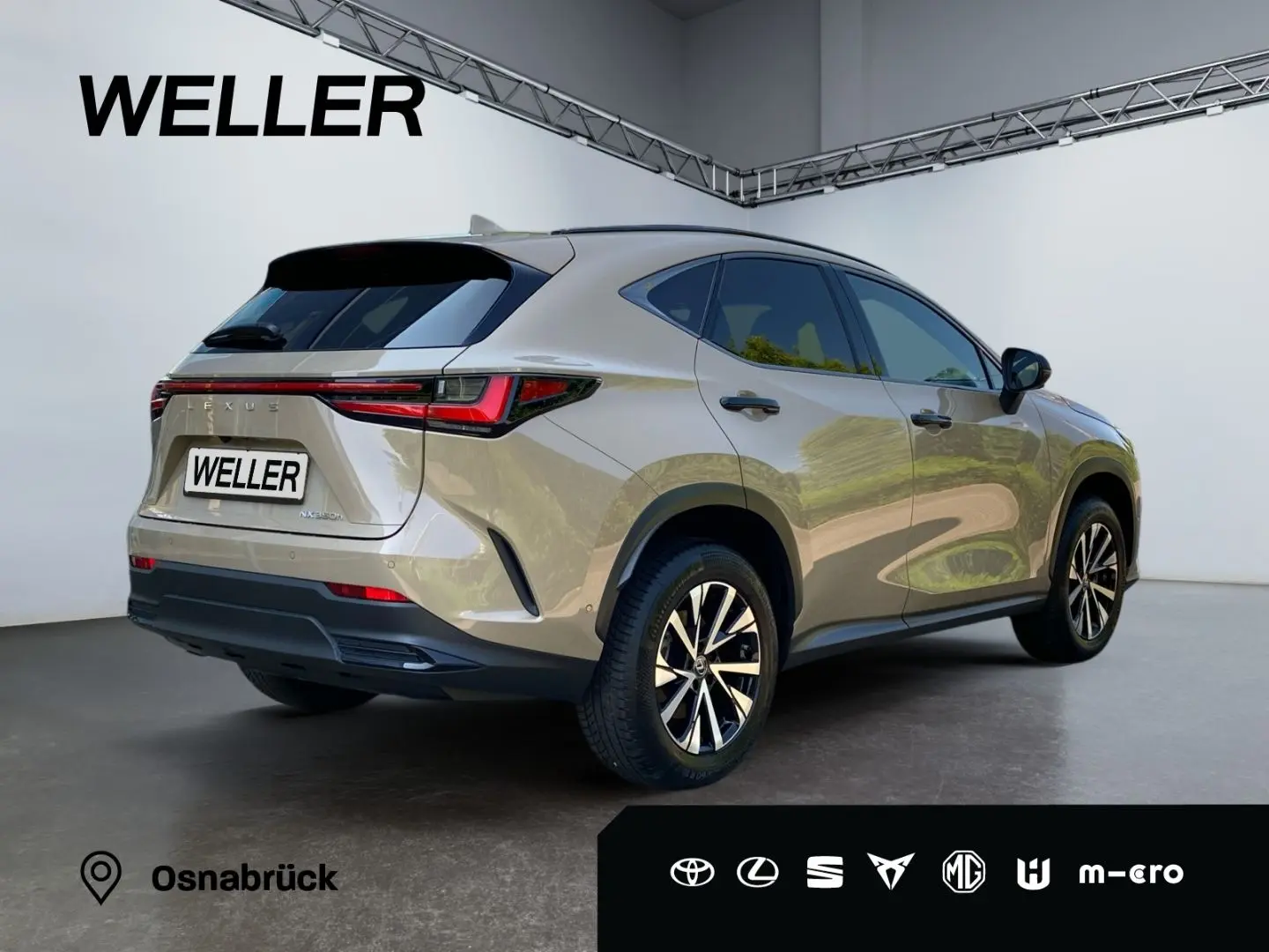 NX 350h E-FOUR Overtrail *Pano*HUD*Mark Levinson
